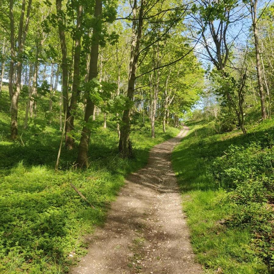 Holly Cottage, Hidden Gem In The Yorkshire Wolds Welton  Экстерьер фото